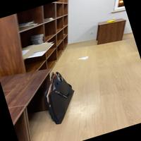 Dataset Image