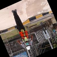Dataset Image