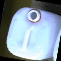 Dataset Image