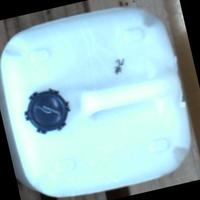 Dataset Image