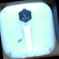 Dataset Image