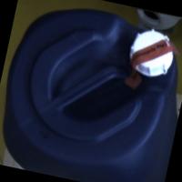 Dataset Image