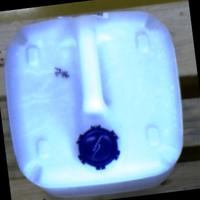 Dataset Image