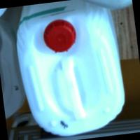 Dataset Image