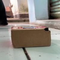 Dataset Image