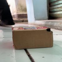 Dataset Image