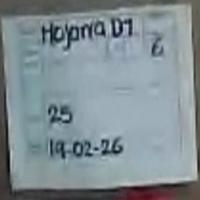 Dataset Image