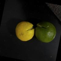 Dataset Image