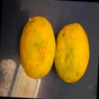 Dataset Image