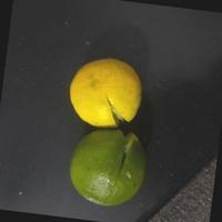 Dataset Image