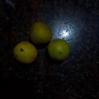 Dataset Image