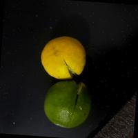 Dataset Image