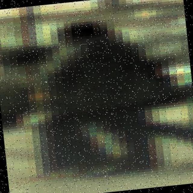 Dataset Image