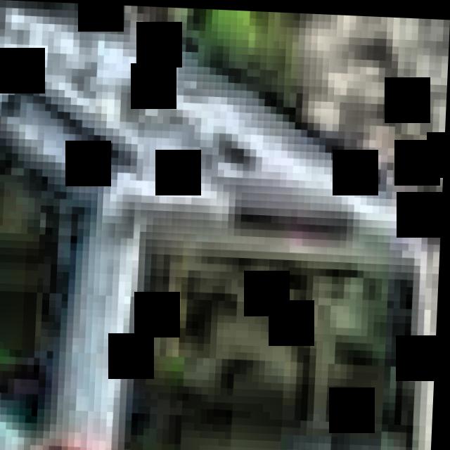 Dataset Image