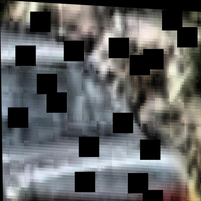 Dataset Image