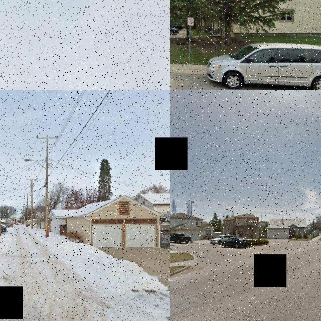 Dataset Image