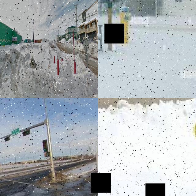 Dataset Image