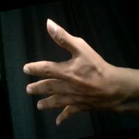 Dataset Image