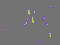 Annotation Visualization