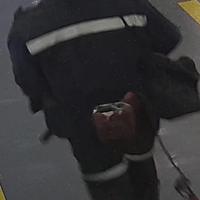 Dataset Image