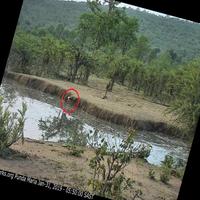 Dataset Image