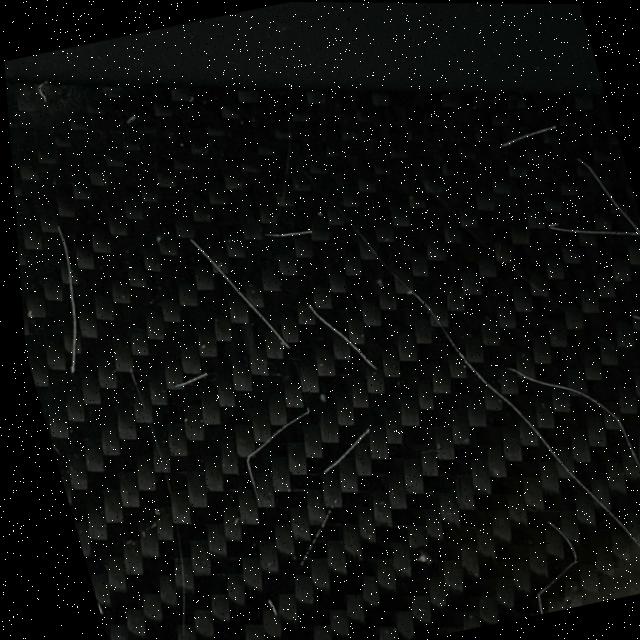 Dataset Image