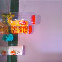 Dataset Image