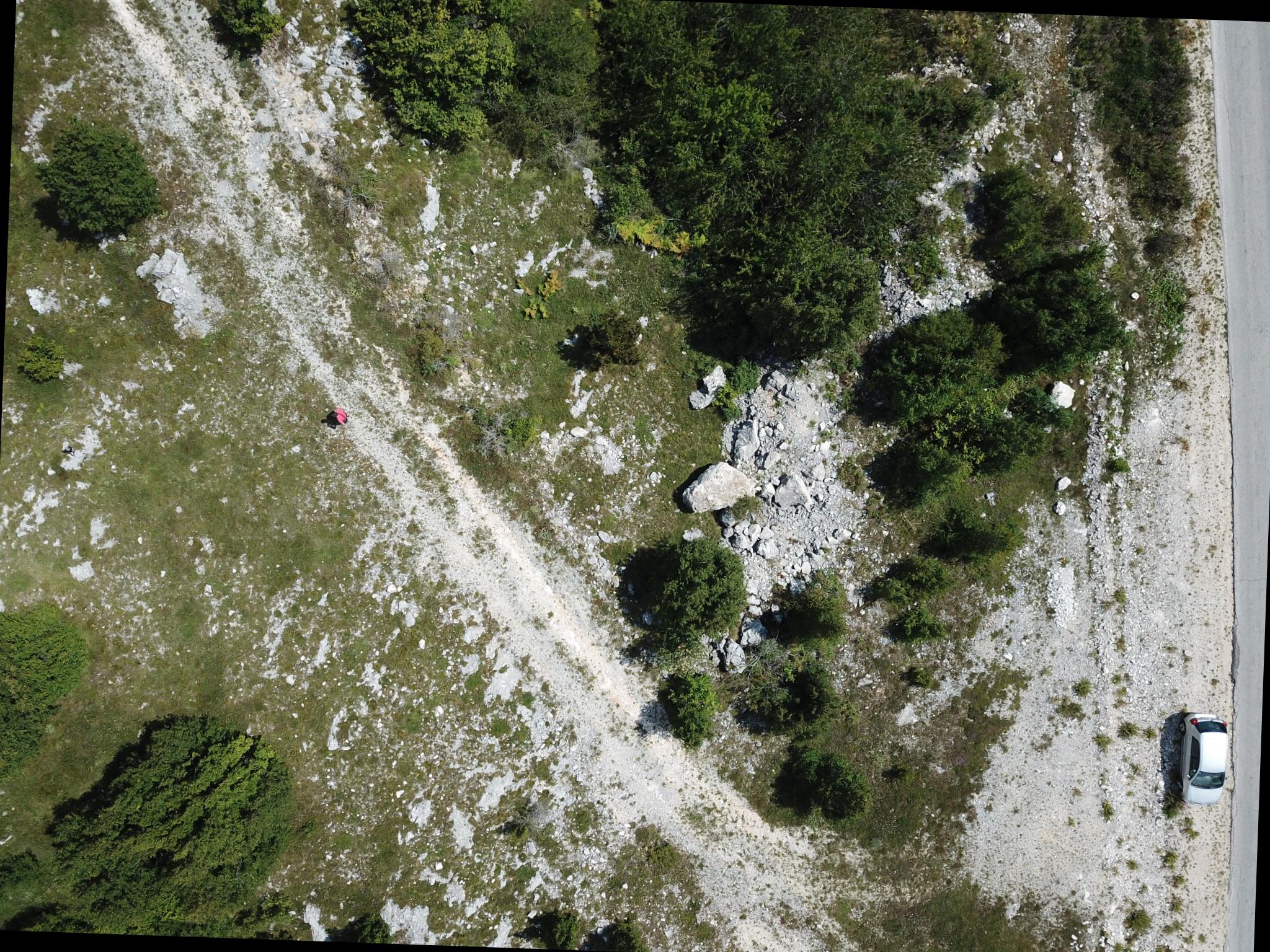 Dataset Image