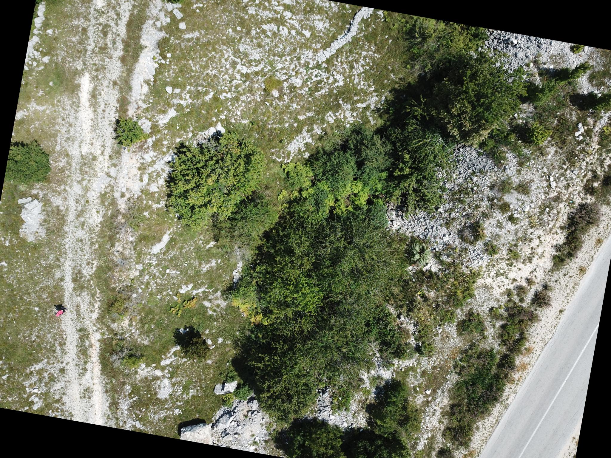 Dataset Image