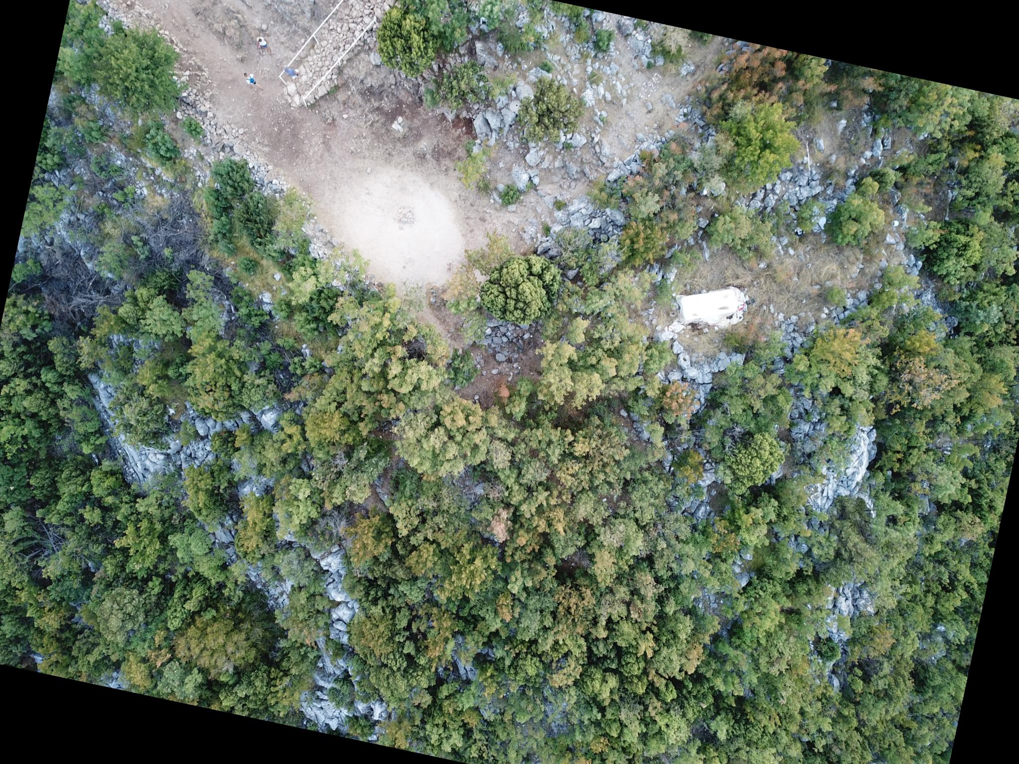 Dataset Image