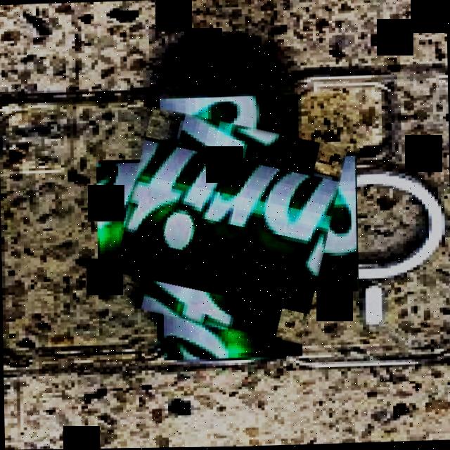 Dataset Image