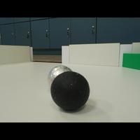 Dataset Image