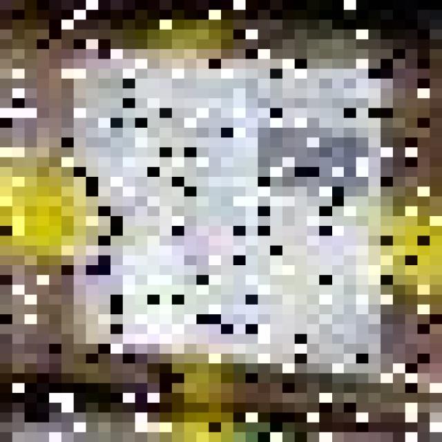 Dataset Image