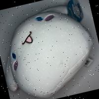 Dataset Image
