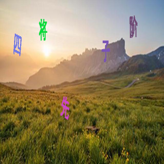 Dataset Image
