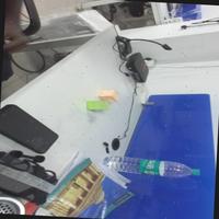 Dataset Image