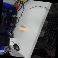 Dataset Image