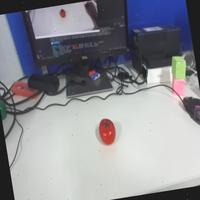 Dataset Image