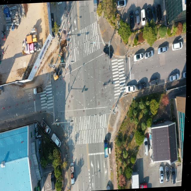Dataset Image