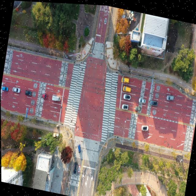 Dataset Image