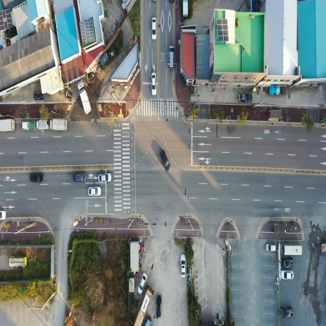 Dataset Image