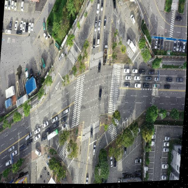 Dataset Image