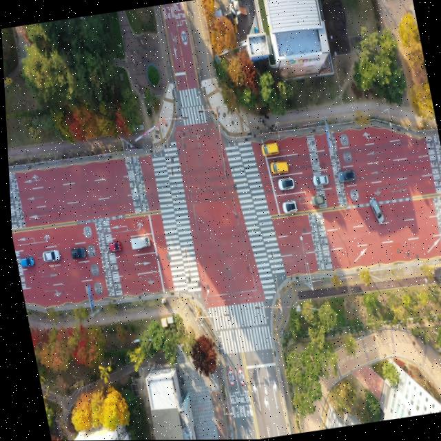 Dataset Image