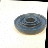 Dataset Image