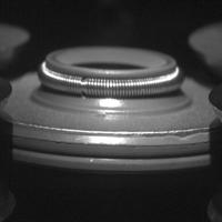 Dataset Image