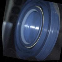 Dataset Image