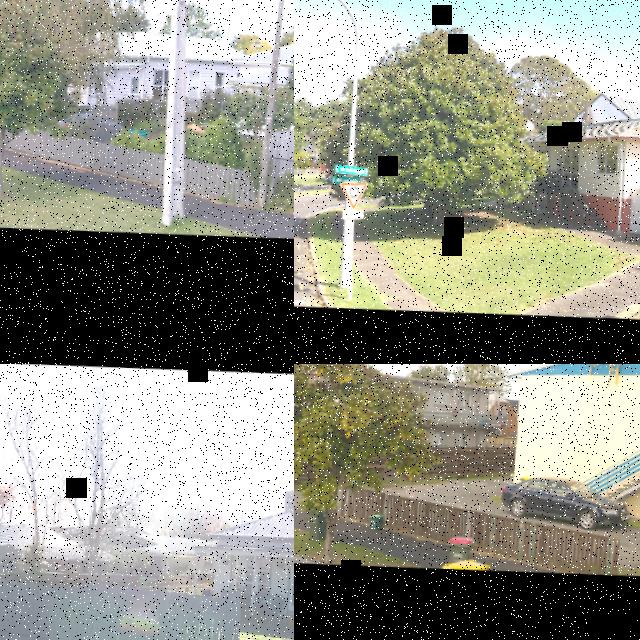 Dataset Image