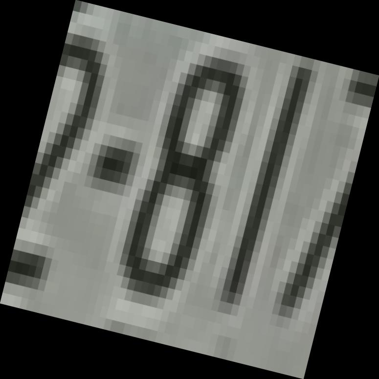 Dataset Image