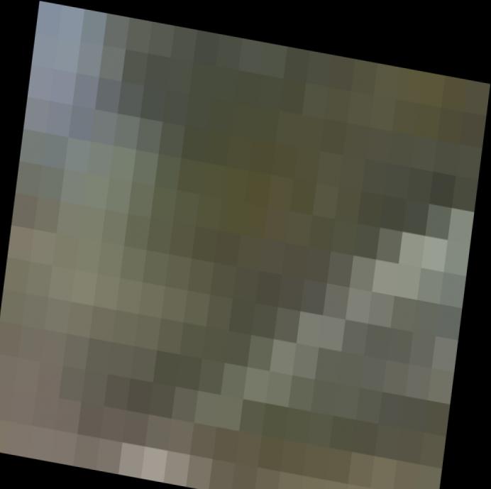 Dataset Image