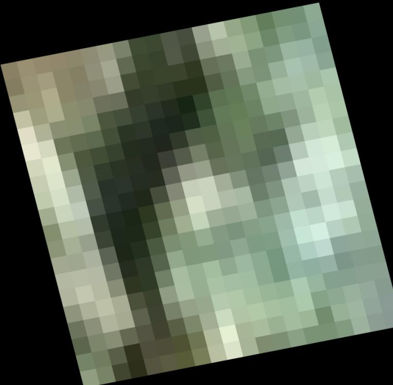 Dataset Image